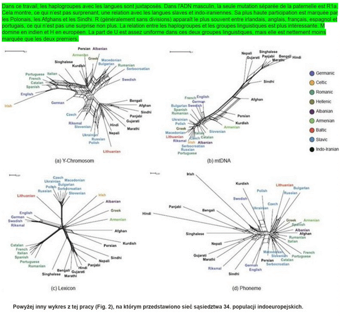 http://wanclik.tadeusz.free.fr/y-mtdna/02_arquivos/image005.gif